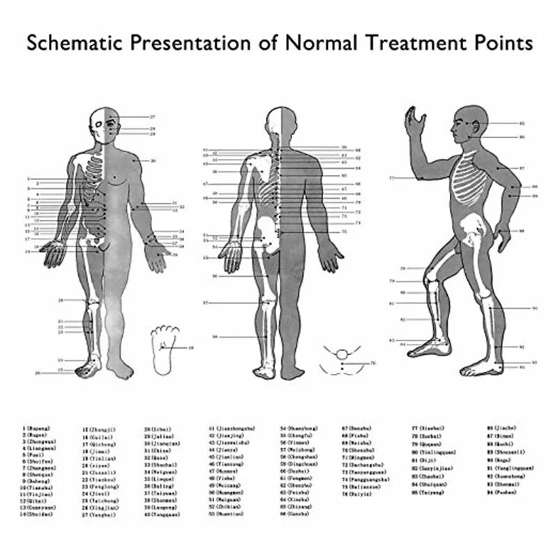 Normal points. Normal points and functions list инструкция на русском. инструкция schematic presentation of normal massage points. normal points and functions list на русском. normal points functions list инструкция на русском языке.
