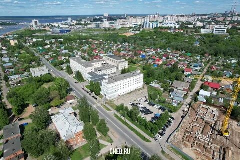 Чеб опт