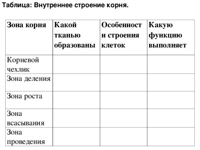 Таблица зона корня особенности строения корня функции. Внутреннее строение корня 6 класс таблица биология. Строение корня 6 класс биология таблица. Внутреннее строение корня заполнить таблицу. Биология 6 класс таблица корни