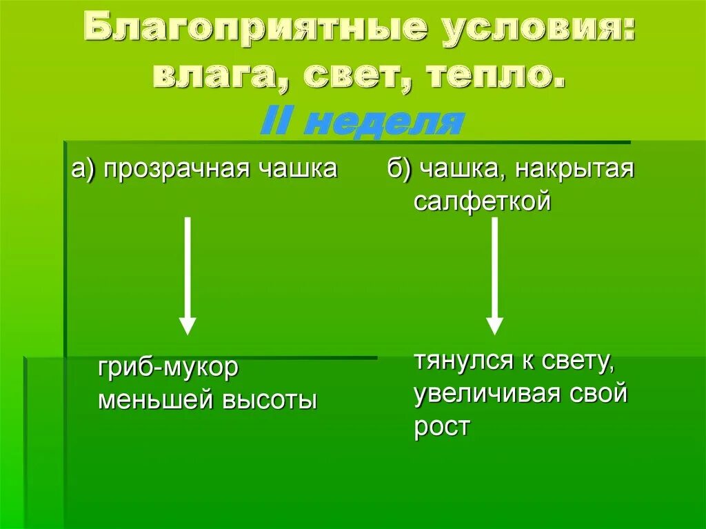 Тепло и влага. Благоприятные условия. Свет и влага. Растения тянутся к свету или к теплу. Благоприятные условия для изменений