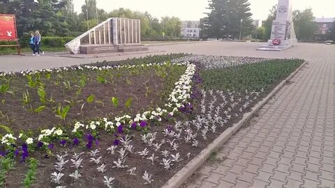 Сайт новоалтайска