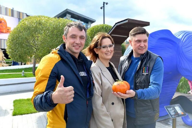 дачные вести. дачные вести. снт березка екатеринбург. дачные вести. грядки в теплице своими.