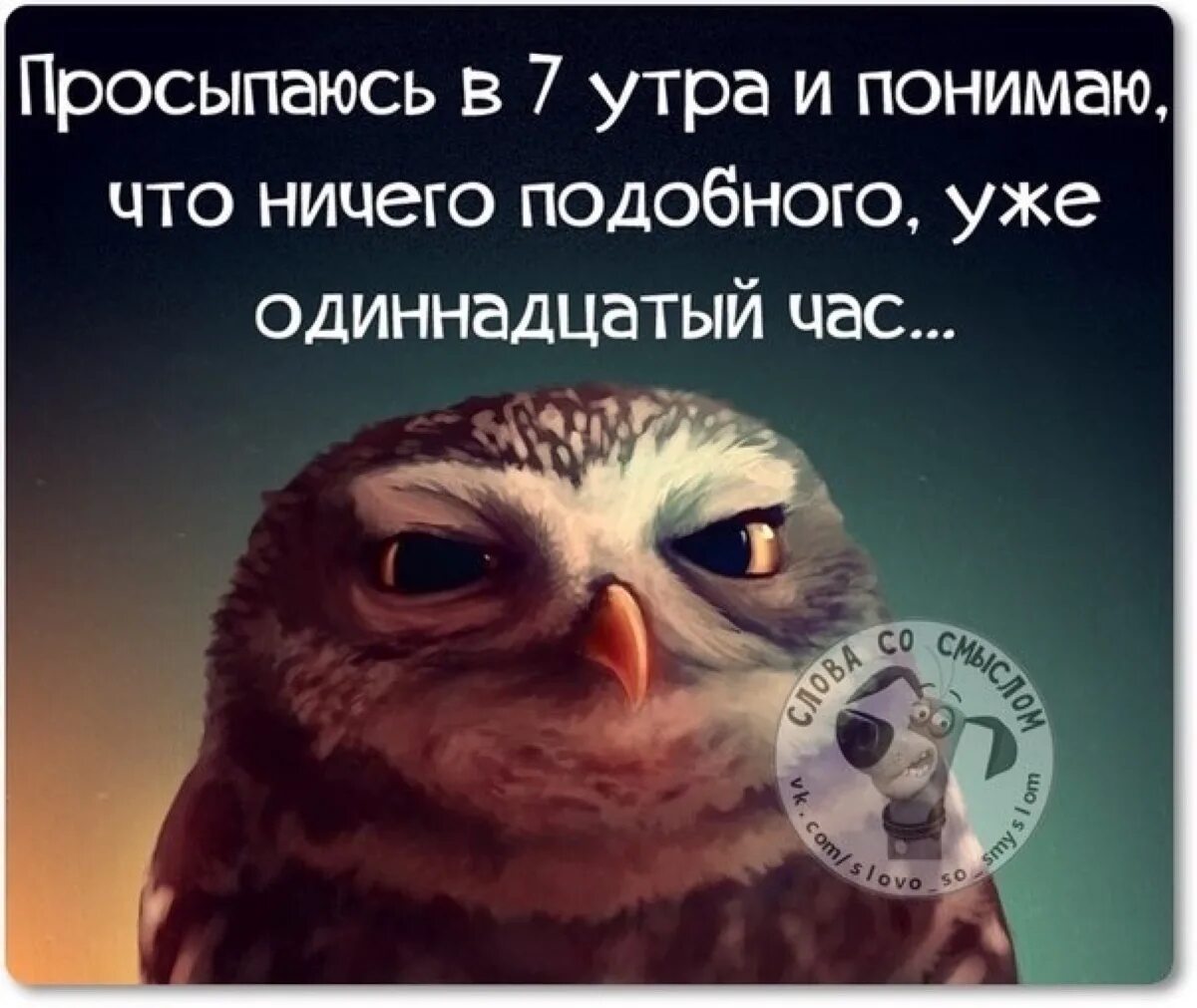 Проспала картинки. Я проспал. Проспал прикол. Проспала картинки прикольные. Я не проспал благодаря будильника