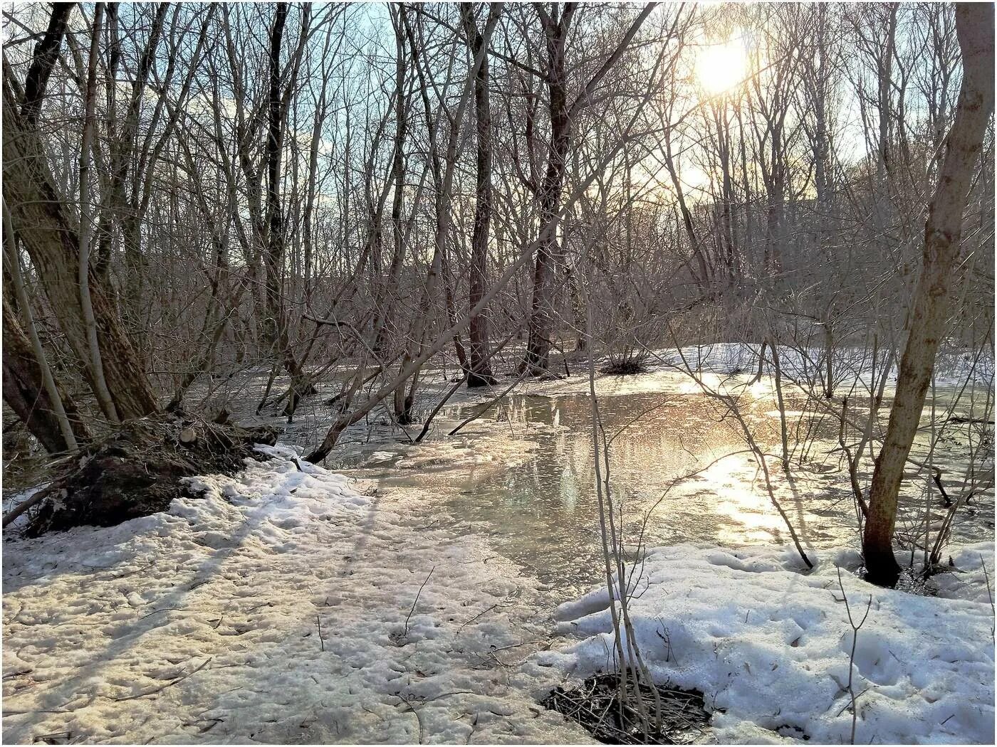 Село качки занесенное снегом оттаивает. Тает снег.