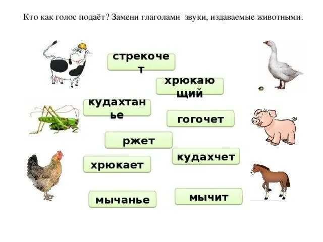 Голос зверей и птиц. Какие звуки издают животные. Кто как подает голос из животных. Звуки издаваемые животными. Звуки которые издают домашние животные.