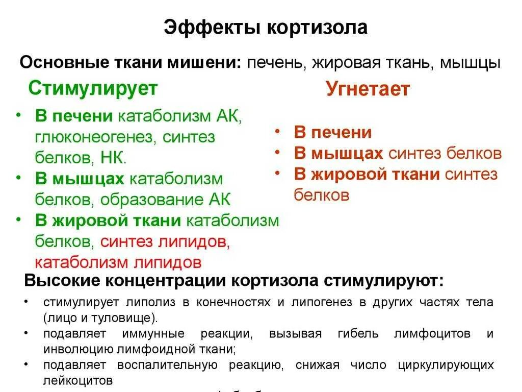 Вызывающий тревогу гормон. Кортизон функции гормона. Физиологические эффекты кортизола. Кортизол функции гормона. Основные функции кортизола.