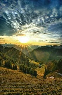 Природа мечты