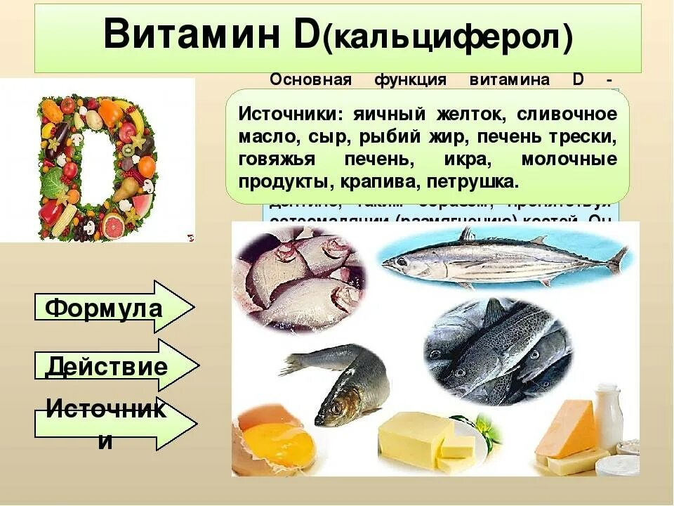 Д3 в каких продуктах содержится больше. Д кальциферол. Формула витамина д кальциферол. Биологические функции витамина d (кальциферола). Источником витамина d являются.