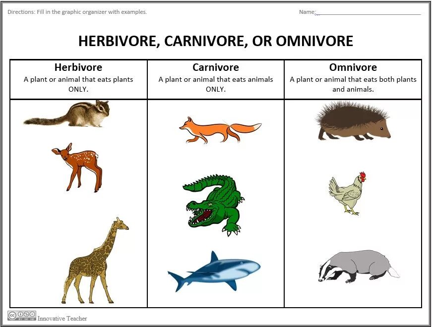Carnivore перевод. Herbivore Carnivore Omnivore. Плотоядные животные. Carnivorous animals. Herbivore Carnivore Omnivore перевод.