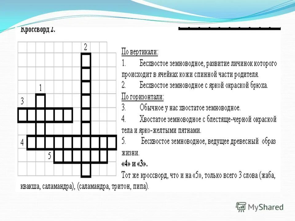 Кроссворд на тему земноводные. Кроссворд на тему класс земноводные. Кроссворд на тему амфибии. Кроссворд на тему многообразие земноводных. Кроссворд земноводные биология