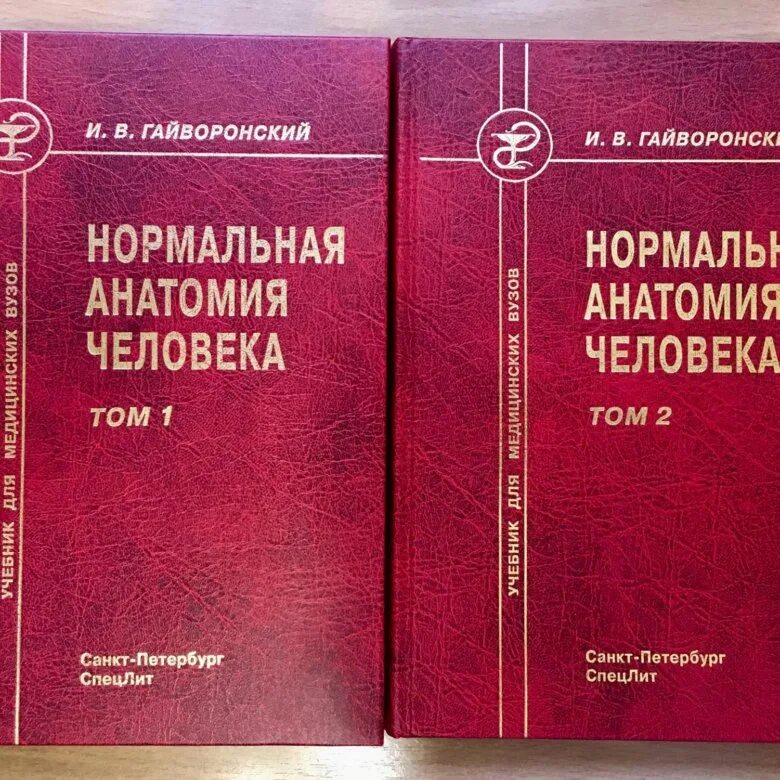 Ничипорук. Анатомия и физиология человека гайворонский. Книга функциональная анатомия центральной нервной системы вагапова. Методичка гайворонского ангиология. Методичка гайворонского ангиология.