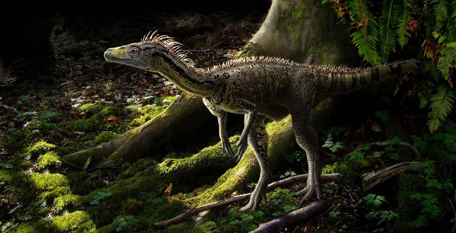 Динозавр 2014. Эораптор динозавр. eoraptor lunensis. эораптор триасового периода. эораптор динозавры триасового периода.
