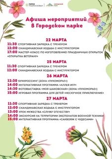 Шаховская программа