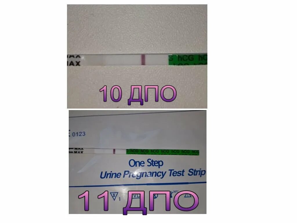11 День после овуляции. 11 ДПО тест на беременность. Заболела после овуляции
