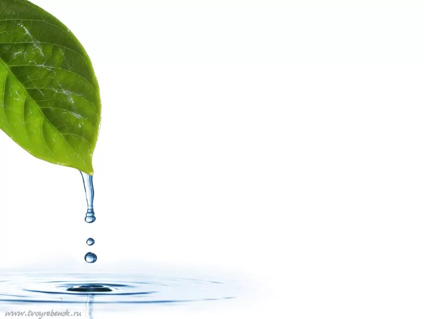 Вода 1 биология. Чистая вода. Биологическое значение воды. Доклад о воде. Экономнее расходовать воду.