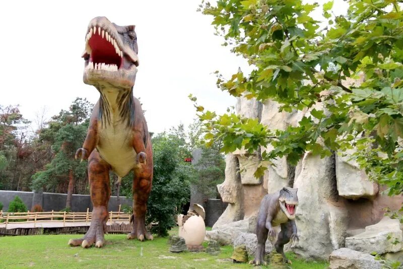 Сафари парк краснодар отзывы. Парк Дино (Dino Park). Сафари парк Краснодар Динопарк. Солнечный остров Дино парк. Сафари парк Краснодар динозавры.