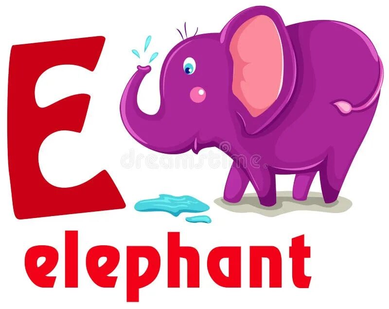Elephant карточка на английском. Карточки по английскому языку слон. Elephant английский для детей. Карточки с английскими словами для детей слон. E elephant