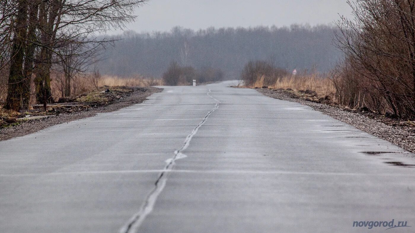 Дорога в Новгородской области. Дороги Новгородской области. Автодороги Новгородской области. Погода на дорогах в Новгородской области сейчас.