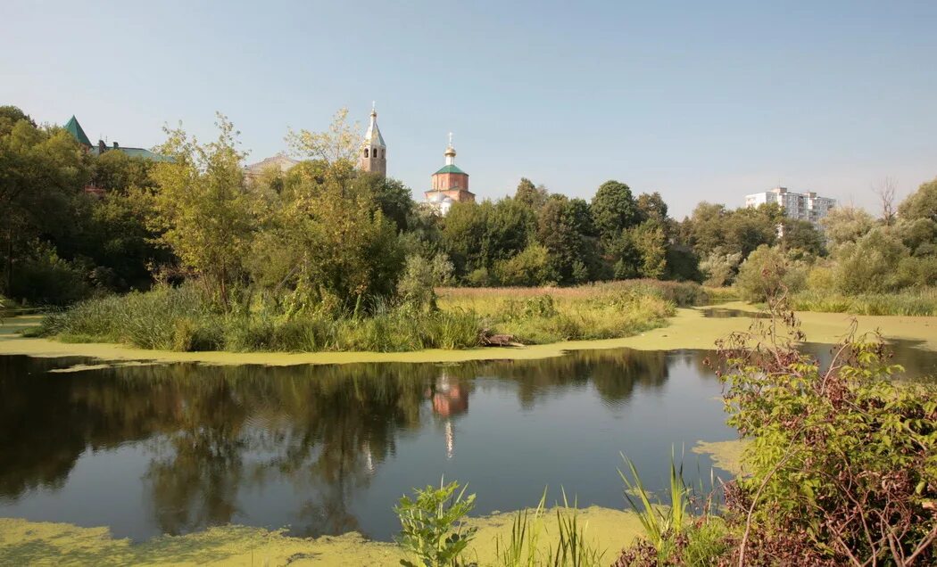 Город на реке сестра. Московская область Клинский р-он природа. Город Клин Московская область река. Клин сестра речка Клинский район. Река сестра Клинский район.