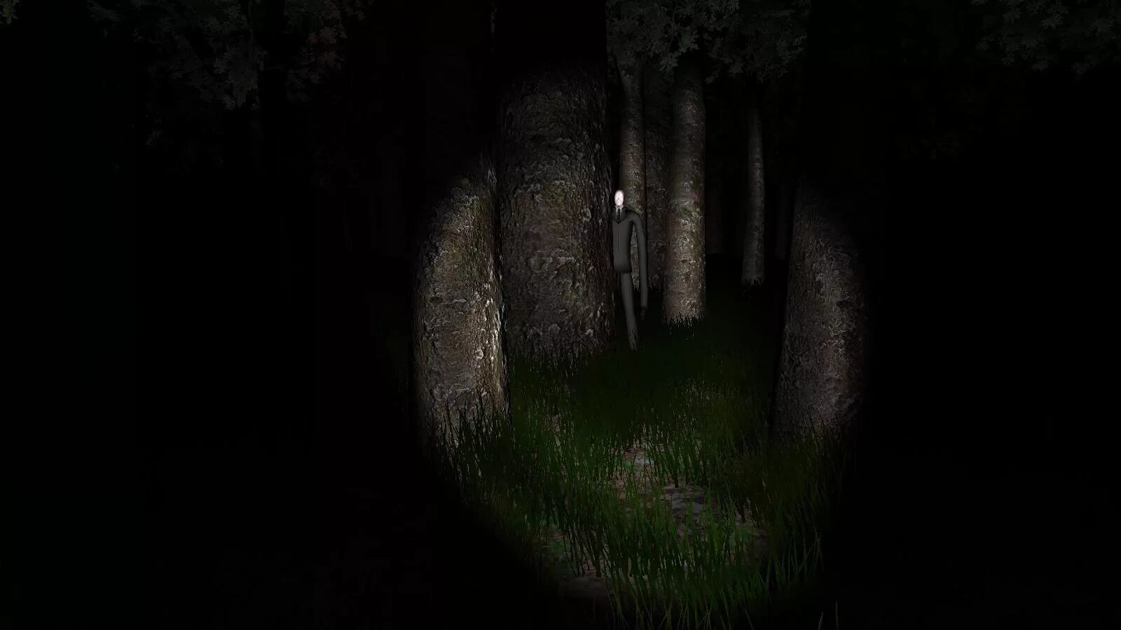 Слендер зе. Игра slender the eight Pages. Slender man игра. Слендермен 2012. Слендермен игра 2012.