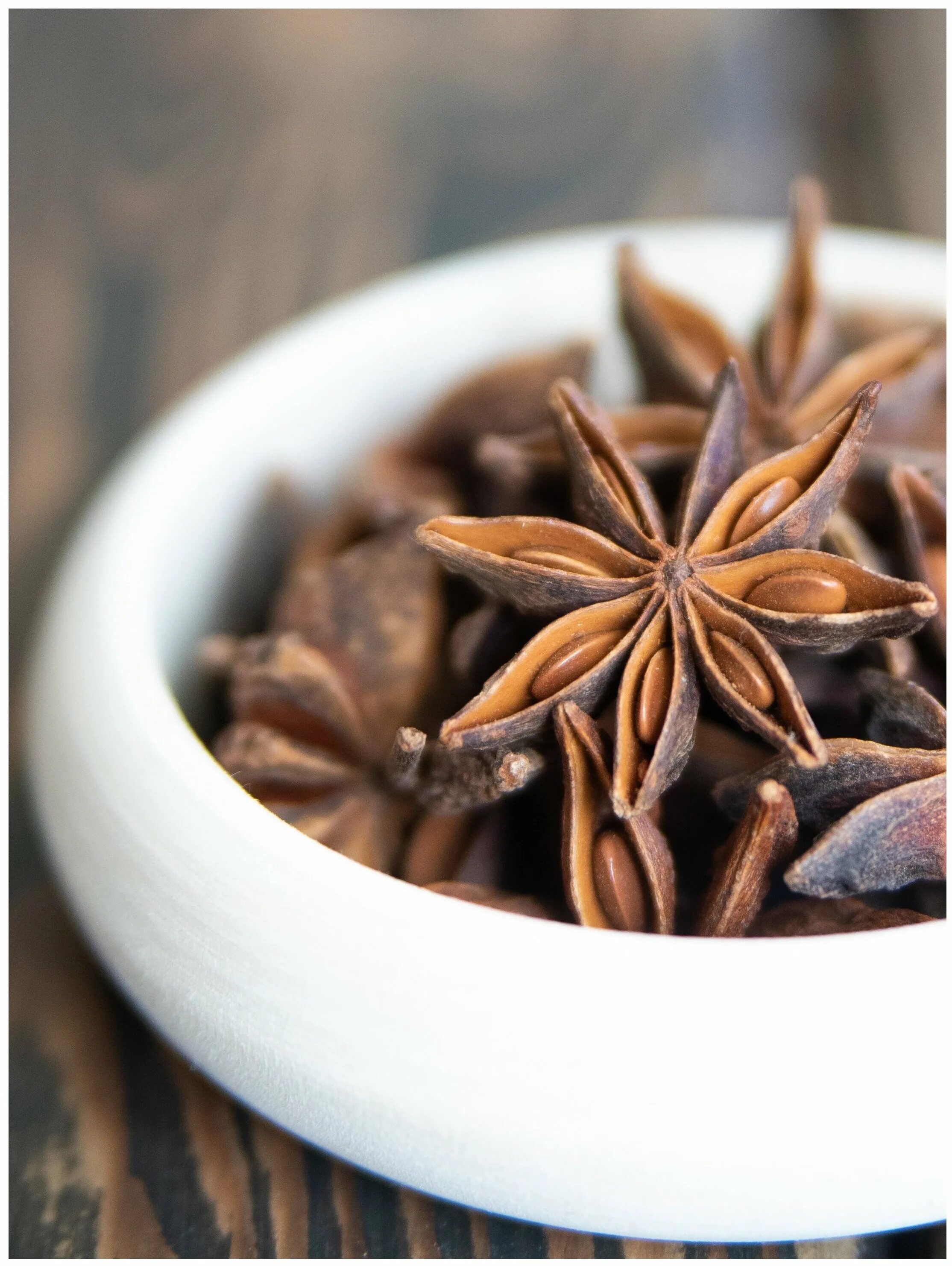 семена анис бадьян фенхель. анис и бадьян. бадьян мелкоцветковый. анис звездчатый и бадьян отличия. бадьян (анис звездчатый) семена.