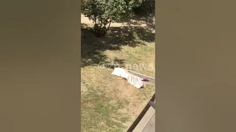 Пушкино женщина выпала из окна