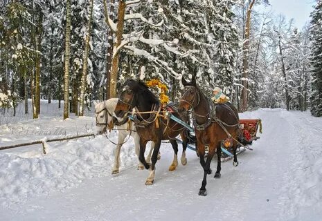 Тройка с санями