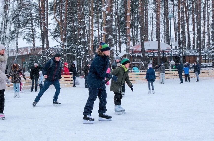 Каток домодедово расписание. Каток парк елочки Домодедово. Каток в парке елочки Домодедово. Парк красная Пресня каток. Парк Царицыно каток.