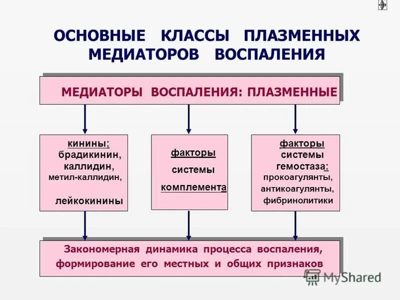 К медиаторам воспаления относятся