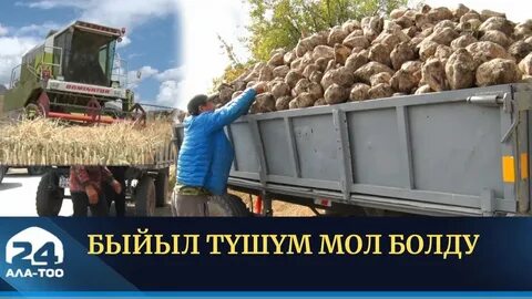Канал ала