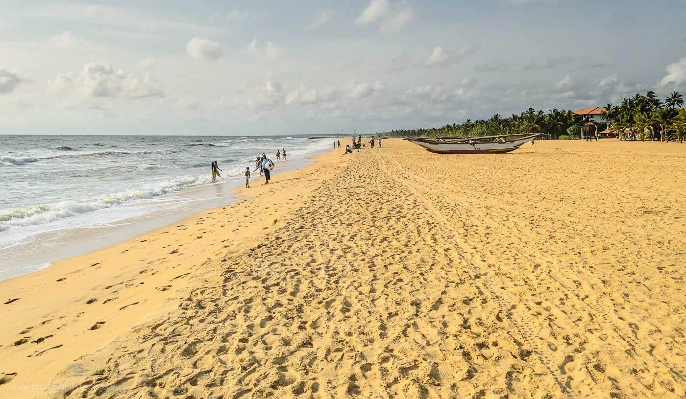 Погода шри ланка апрель 2024. Негомбо Шри Ланка. Негомбо Бич. Коломбо Шри Ланка пляжи. Негомбо пляж.