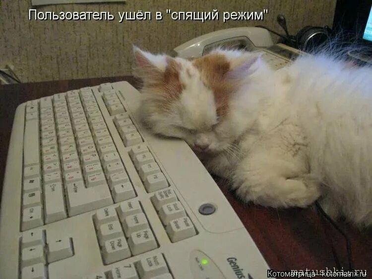 Хорошо иди спи