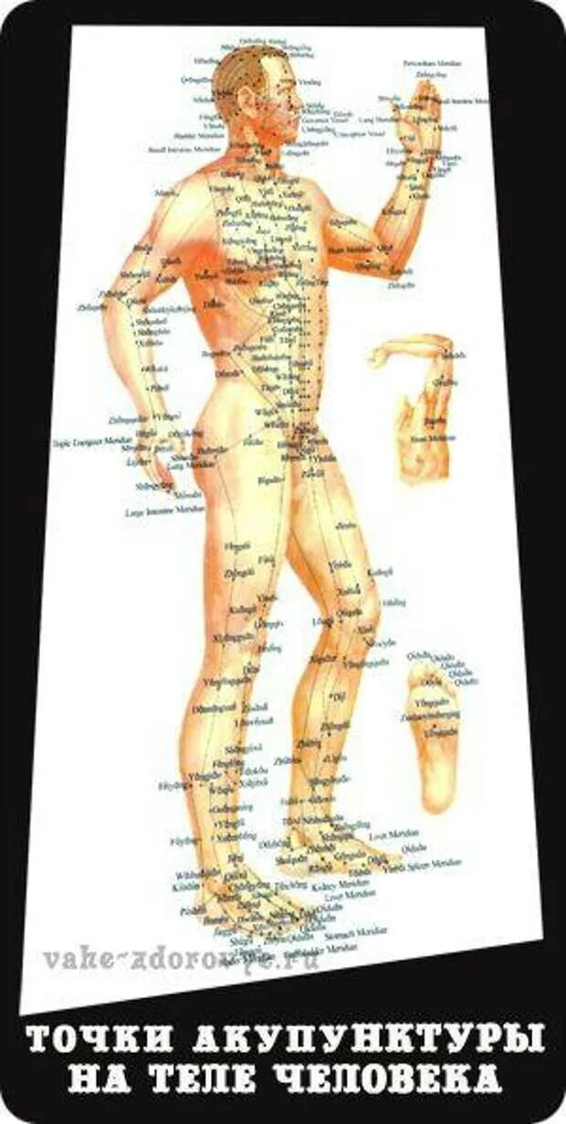 Названия точек человека. Массажные точки на теле человека и способы воздействия на них. Акупунктура тела человека атлас. Акупунктурные точки на теле человека китайская медицина. Акупунктура меридианы тела человека схема.