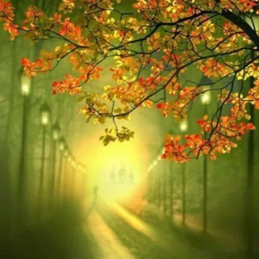 Включи света осень