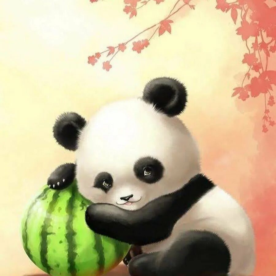Панда. Панды мультяшные. Панда рисунок. Милый Панда. Картинка милой панды