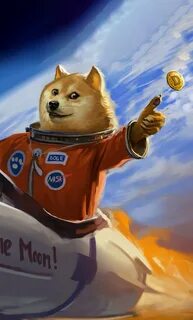 День doge
