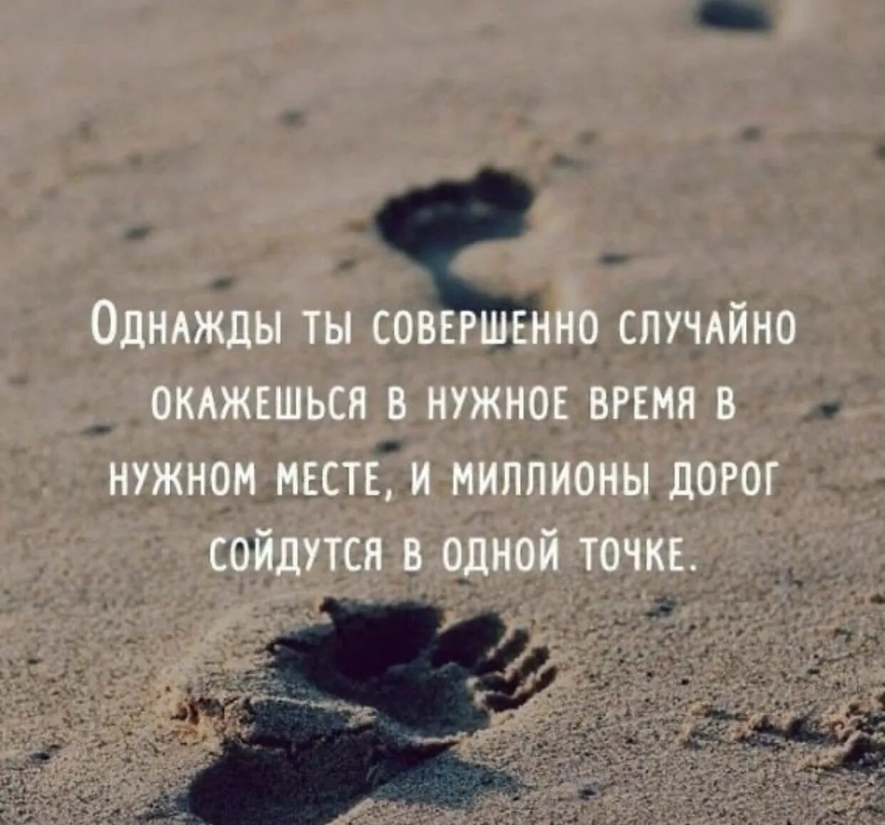 Случайный гость оказался слишком вовремя и в нужном месте