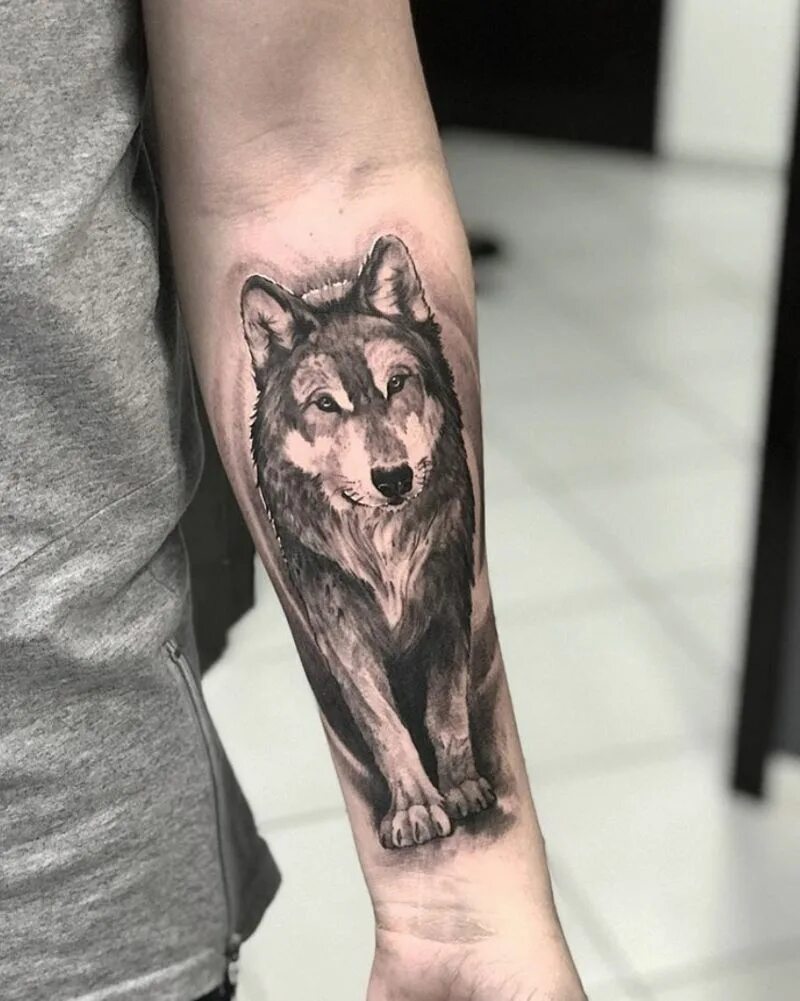 Тату волка на предплечье мужские. Тату волка на руке мужские. Tatuirovki волк. Тату волк. Волк на руке.