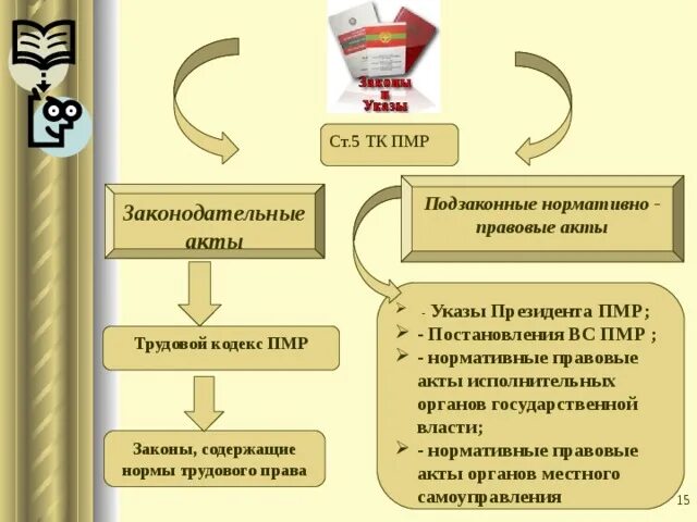 Система нормативных правовых актов ПМР. НПА ПМР. Правовые акты. Структура органов государственной власти ПМР..