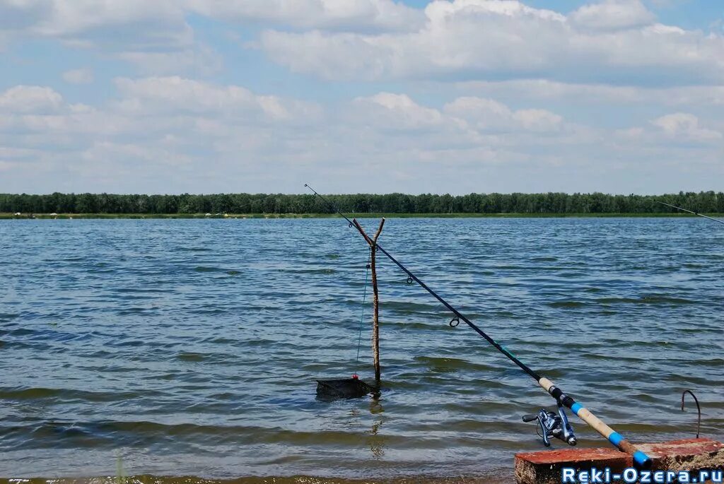 Озеро чистое рыбалка. Озеро чистое Увельский район. Озеро Дуванкуль Увельский район Челябинская область. Озеро чистое Челябинская область Увельский. Озеро Дуванкуль рыбалка.