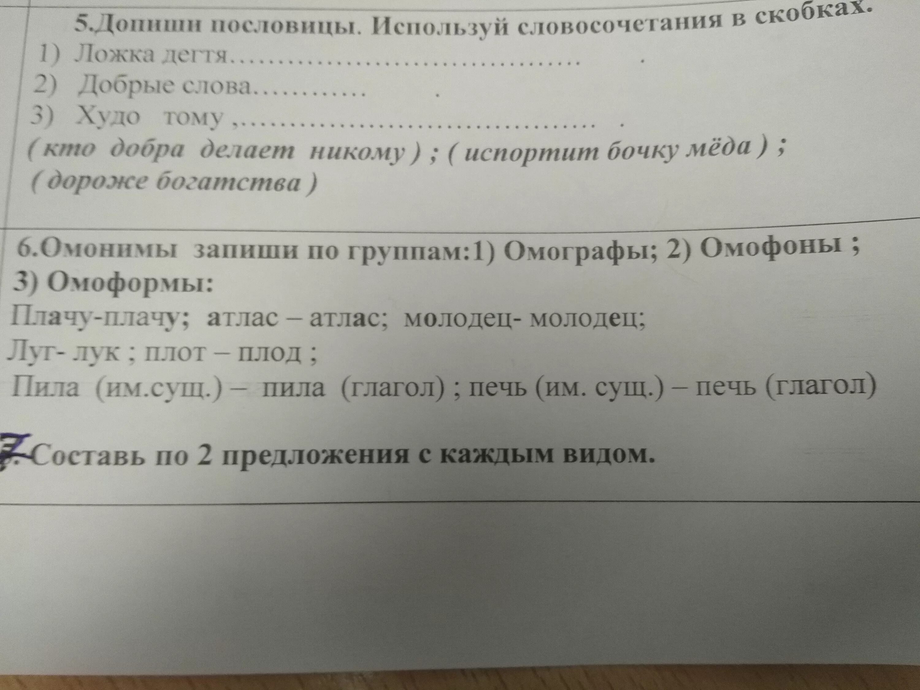 Составить предложения с омоформами. Составить предложения с омоформами