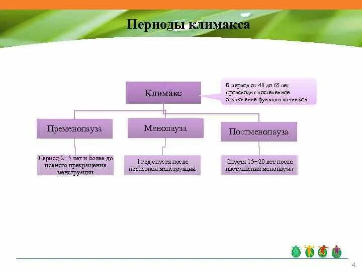 Климакс начальная стадия. Стадия климактерического. Климактерический период стадии степени тяжести. Периоды климакса. Периоды климактерического периода.