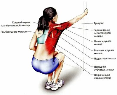 Причины разрыва мышцы