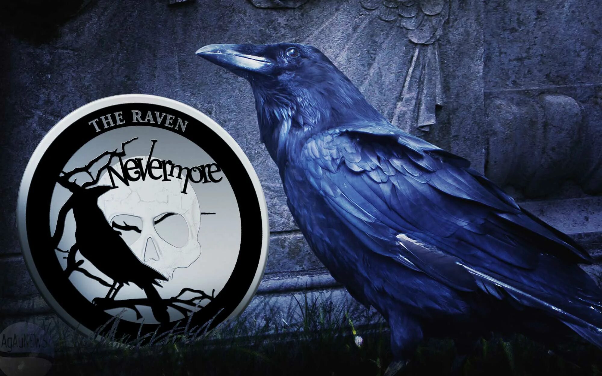 Raven Nevermore. Nevermore Edgar Allan POE. Edgar POE Raven. The ravens are the unique guardians