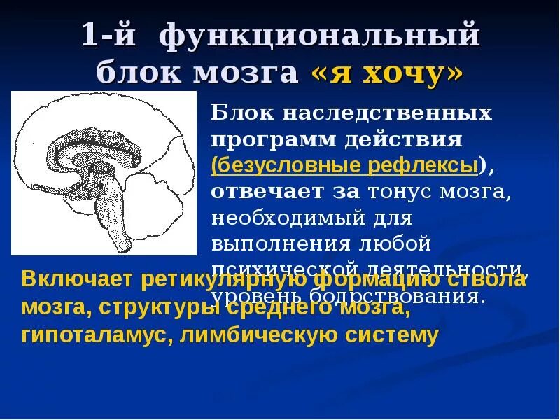 Структуры входящие в функциональный блок. Функциональные блоки мозга лурия. 1 блок мозга лурия. функциональные блоки мозга 2 блок. блоки мозга по лурия 1 блок.