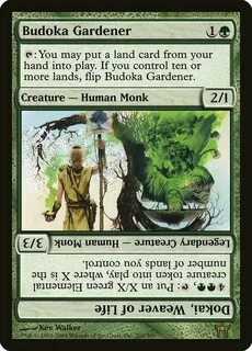 Many lands