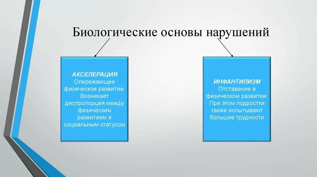 Медико-биологические основы безопасности жизнедеятельности. Медико-биологические основы безопасности жизнедеятельности. Биологическая основа способностей это. Хронобиологические аспекты адаптации. Биологическая основа развития способностей.