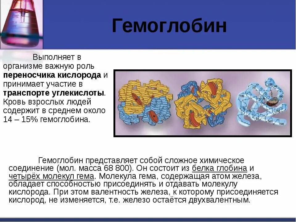 Химическое соединение представляет собой. Гемоглобин и его участие в транспорте кислорода. Гемоглобин и его роль в транспорте кислорода и углекислого газа. Роль гемоглобина в организме. Гемоглобин и его роль в организме.