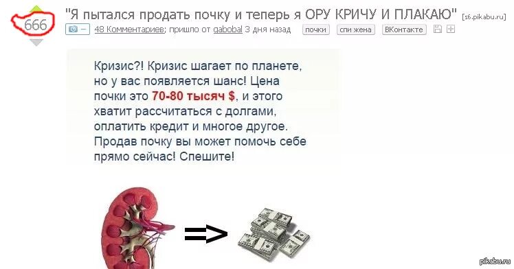 Сколько стоит почка. За сколько можно продать почку. Продай почку.