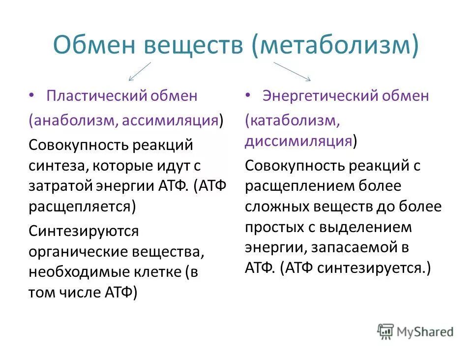 Реакции с затратой энергии. Таблица обмен веществ и энергии пластический и энергетический обмен. Пластический и энергетический обмен этапы энергетического обмена. Обмен веществ пластический и энергетический таблица. Пластический обмен и энергетический обмен таблица.